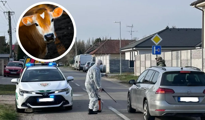 Fotka - Odvolanie mimoriadnej situácie - vysoko nákazlivého vírusu slintačky a krívačky - vyrozumenie 