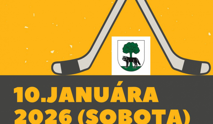 Fotka - 3. ročník hokejbalového turnaja